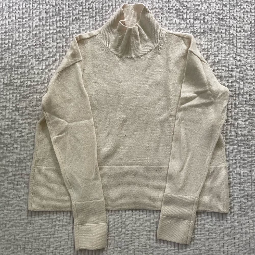 Everlane Cashmere Cream Turtleneck